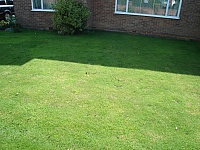 DSC00010