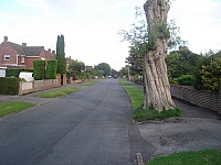 DSC00017